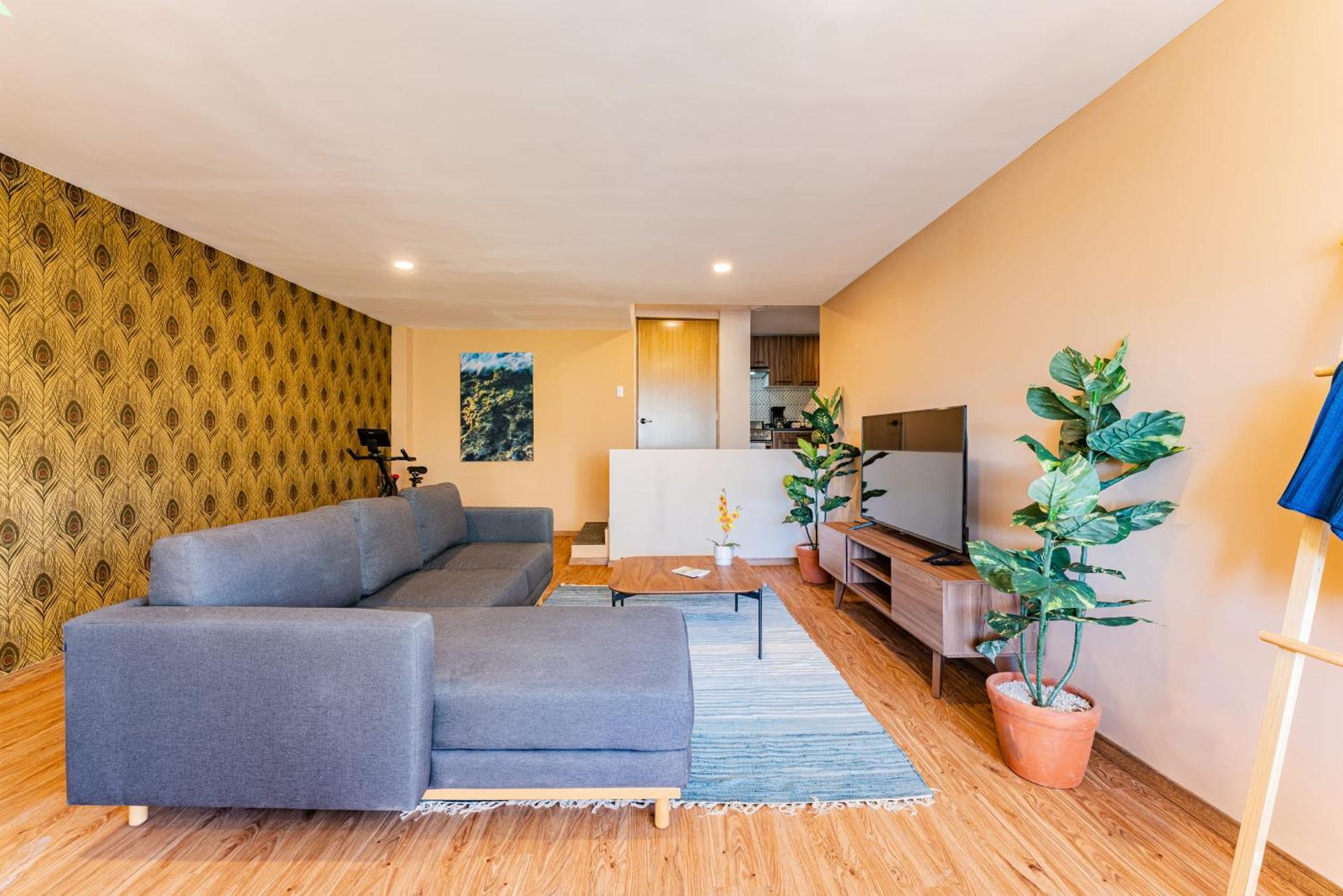 Sonora 11 Apartments By Vh メキシコシティ エクステリア 写真