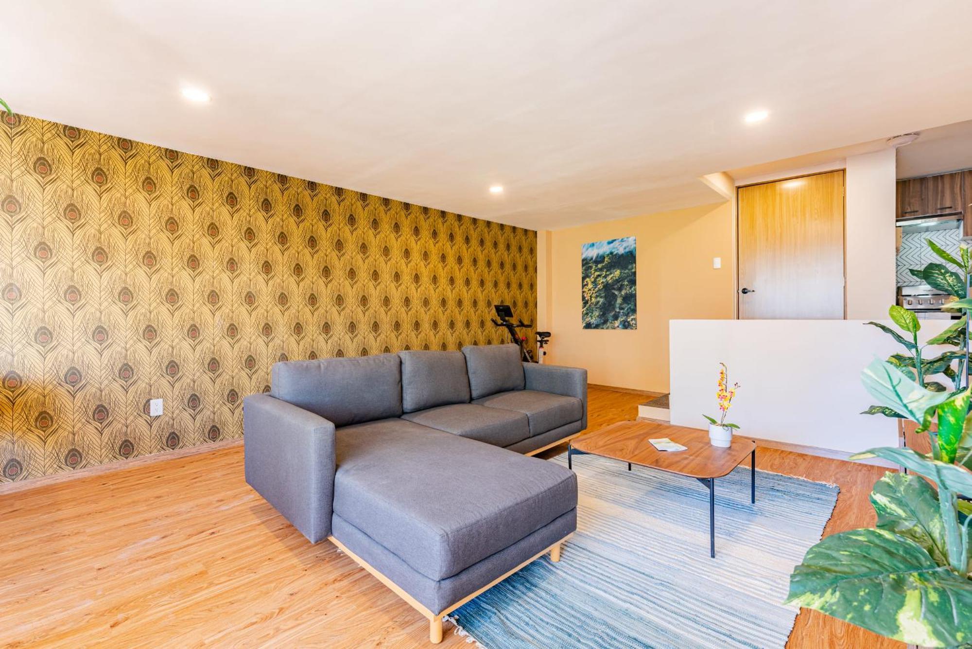 Sonora 11 Apartments By Vh メキシコシティ エクステリア 写真